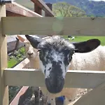 3 Bed In Cockermouth Oc-85717 Casa vacanze