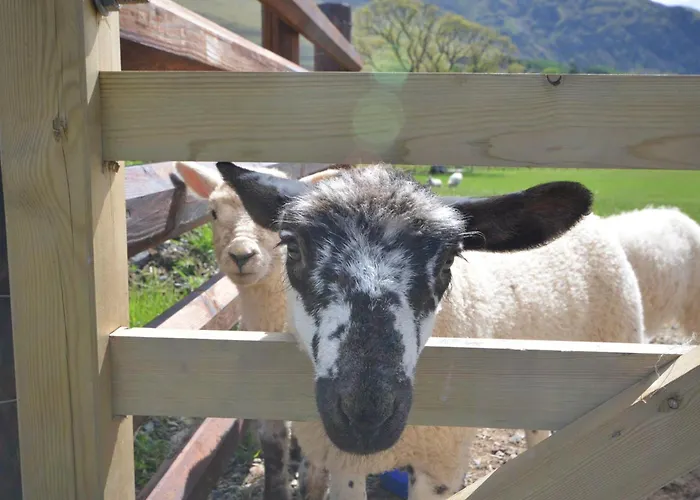 3 Bed In Cockermouth Oc-85717 Дом отдыха